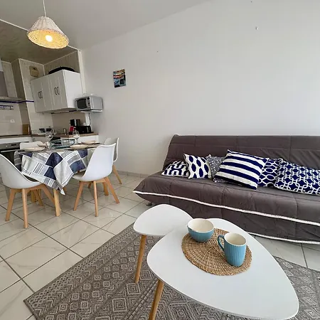 Duplex Moderne Au Bord De Mer, 2 Chambres, - Fr-1-323-583