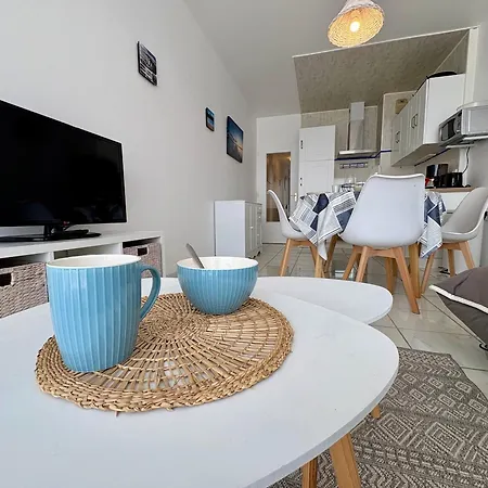 Duplex Moderne Au Bord De Mer, 2 Chambres, - Fr-1-323-583 * Saint-Jean-de-Monts